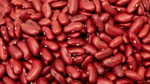 Bean