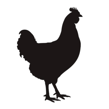 Poultry Feeds